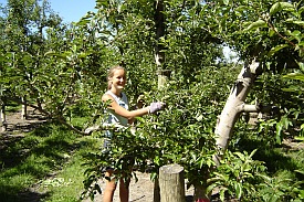 Organic Farming Jobs in Australia