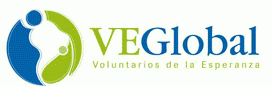 VE Global logo