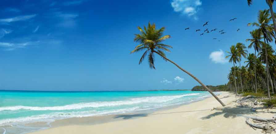 Best Summer Jobs Abroad Working Magazine